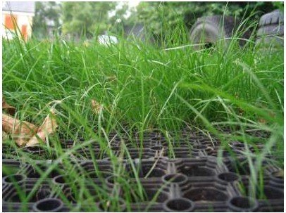 Premium Rubber Grass Mats By Rubber Co